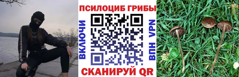 Галлюциногенные грибы GOLDEN TEACHER Ревда